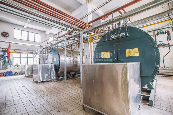 4噸WNS冷凝式燃?xì)庹羝仩t項(xiàng)目