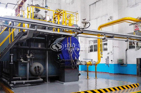 河北安國現(xiàn)代中藥工業(yè)園40噸SZS系列低氮燃氣蒸汽鍋爐項目