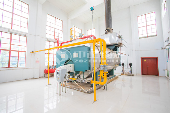 振華汽車涂裝6噸WNS系列高效節(jié)能燃氣蒸汽鍋爐項目