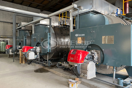 吉林德達(dá)6噸WNS系列兩回燃?xì)庹羝仩t項目